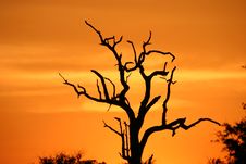 African Sunset Stock Image African Sunset Stock Image
