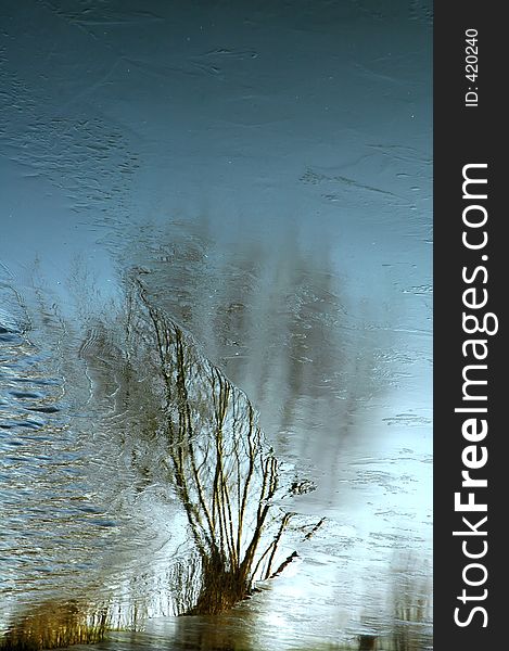 Tree's reflection on partly frozen lake. Tree's reflection on partly frozen lake