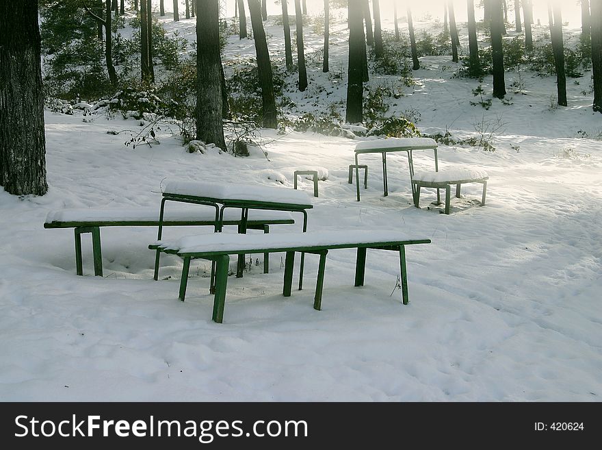 Deserted Benches Covered By Snow