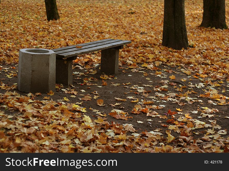 Bench in park at fall