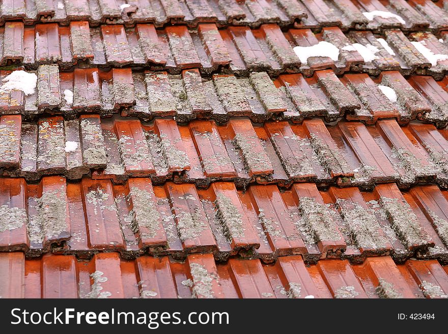Wet Roof Texture