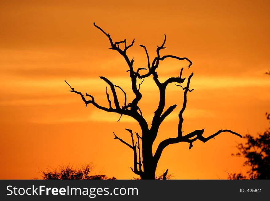 African sunset in the Kruger National Park