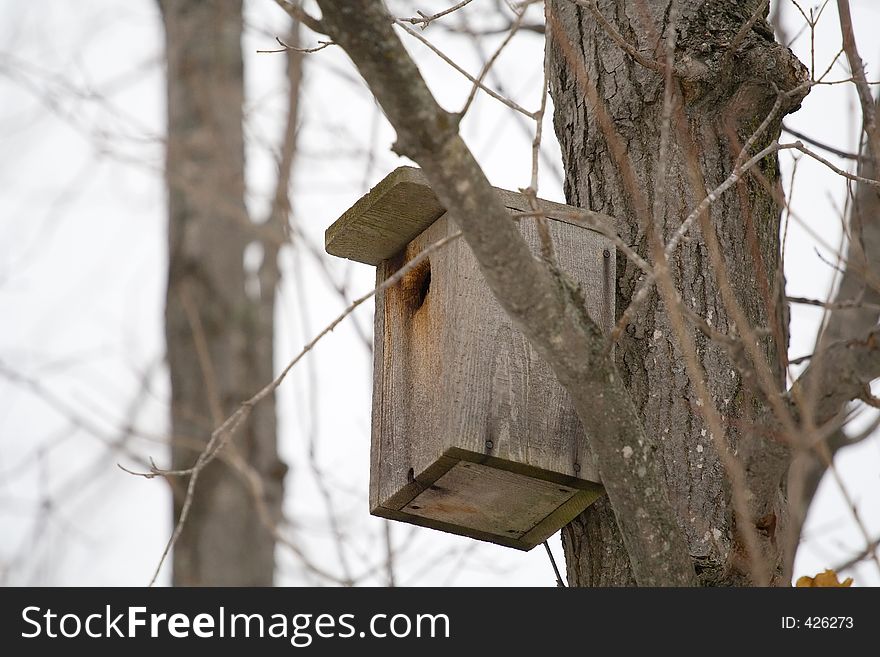 A home made bird house high up in a tree in winter. A home made bird house high up in a tree in winter.