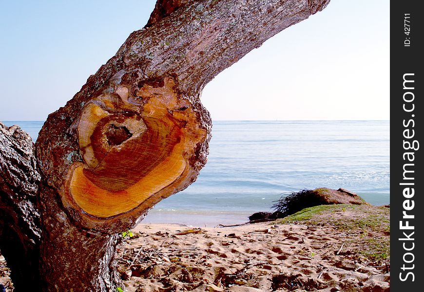 A cut and chopped knot in a piece of wood with the pacific ocean in the background. A cut and chopped knot in a piece of wood with the pacific ocean in the background.