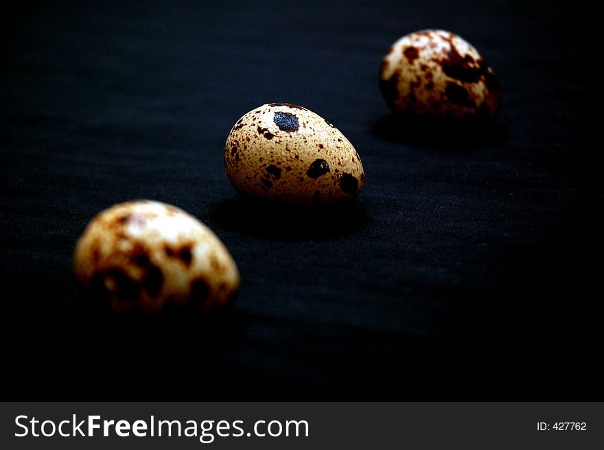 Quaill Eggs