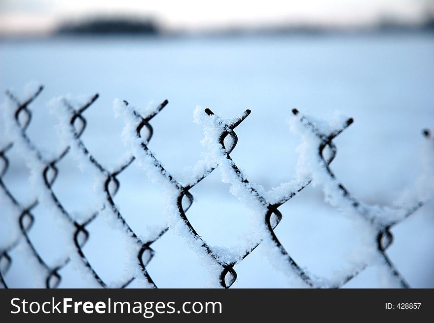 Snowed fence
