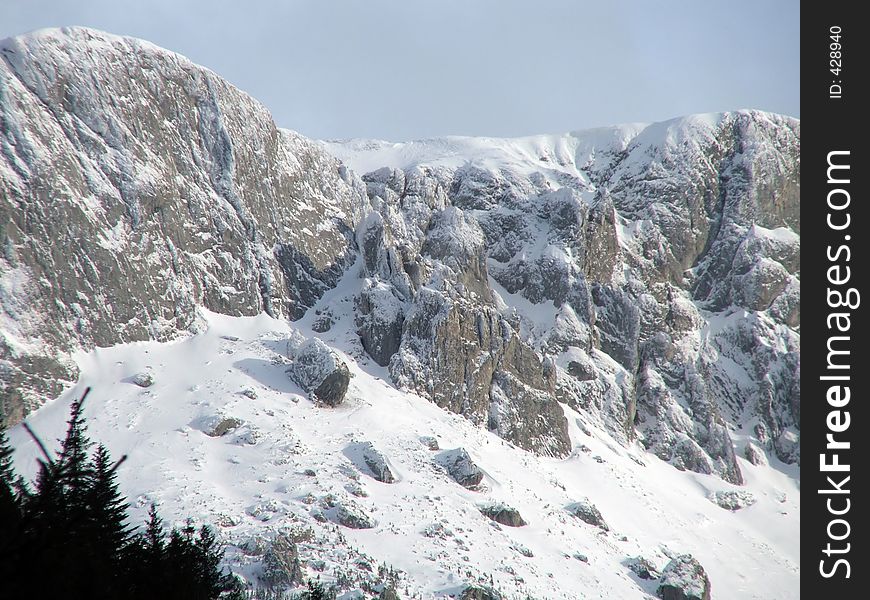 View of mountain peaks covered with snow and a little pine forest. View of mountain peaks covered with snow and a little pine forest