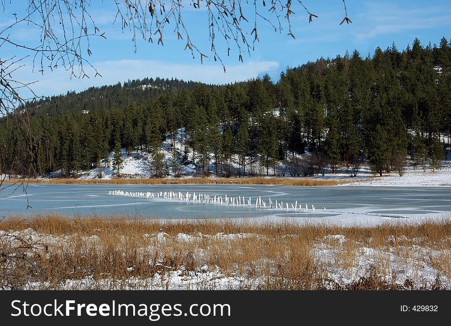 A frozen pond on a beautiful December day. A frozen pond on a beautiful December day.