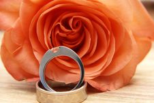 Wedding Rings On A Red Rose Royalty Free Stock Photo Wedding Rings On A Red Rose Royalty Free Stock Photo
