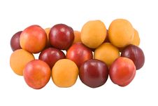 Apricot, Plum, Nectarine Royalty Free Stock Photography Apricot, Plum, Nectarine Royalty Free Stock Photography
