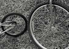 Bicycle Wheels Royalty Free Stock Photography Bicycle Wheels Royalty Free Stock Photography