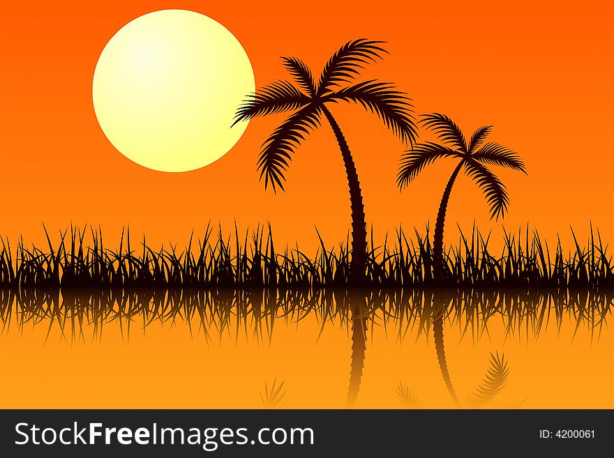 Vector illustration of tropic sunset