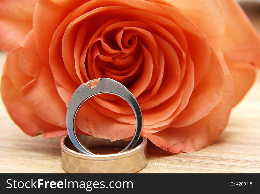 Two white gold wedding rings on a red rose