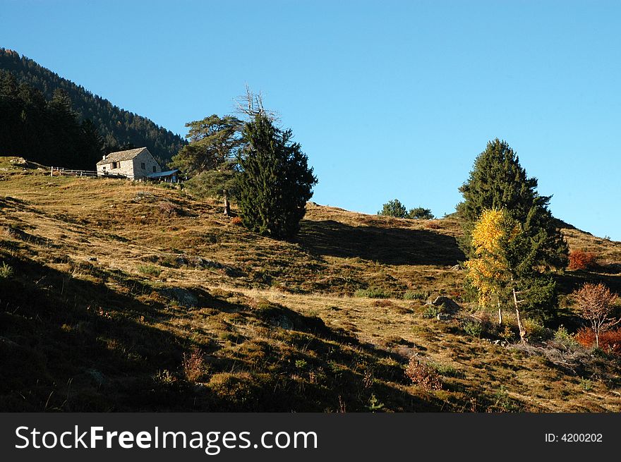 Autumn landscape in alps mountain