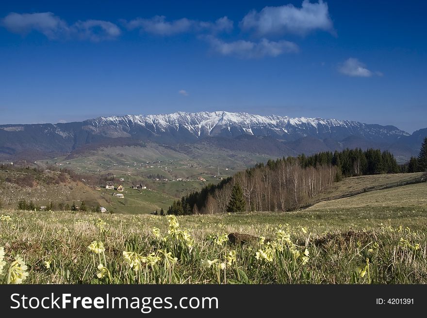 Mountain spring landscape