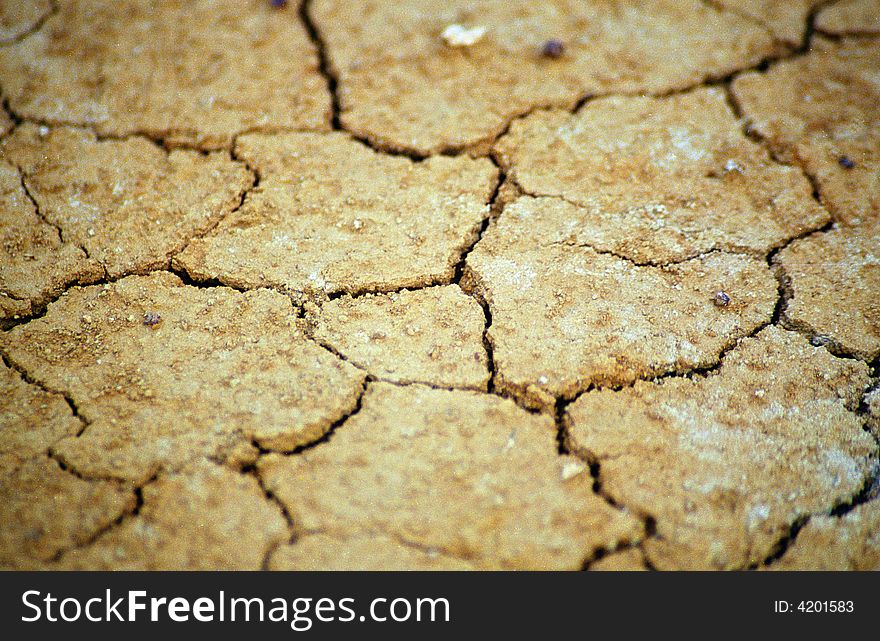 Dry crackled ground texture close-up