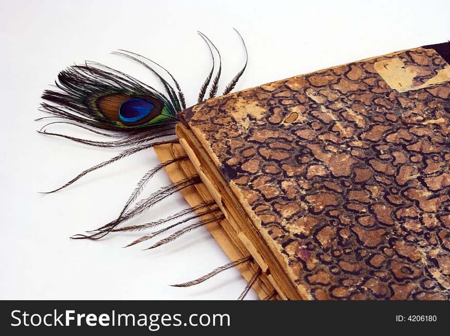 Old book and peacock plume as bookmark on white. Old book and peacock plume as bookmark on white