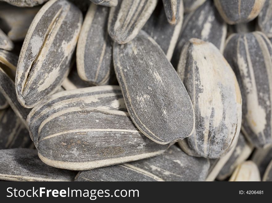 Closeup of a pile of sunflower seeds. Closeup of a pile of sunflower seeds