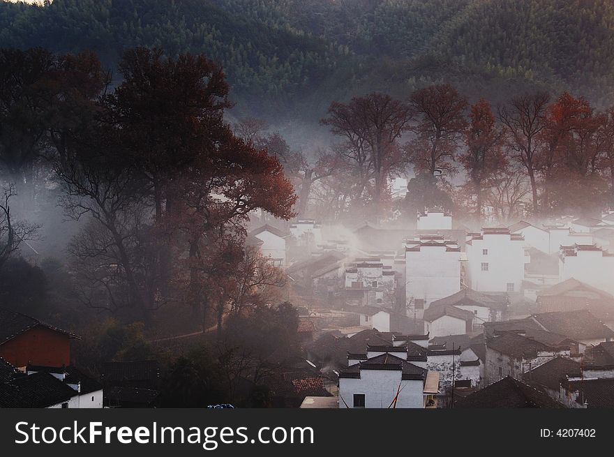 A small village with old maples trees in morning fog. A small village with old maples trees in morning fog