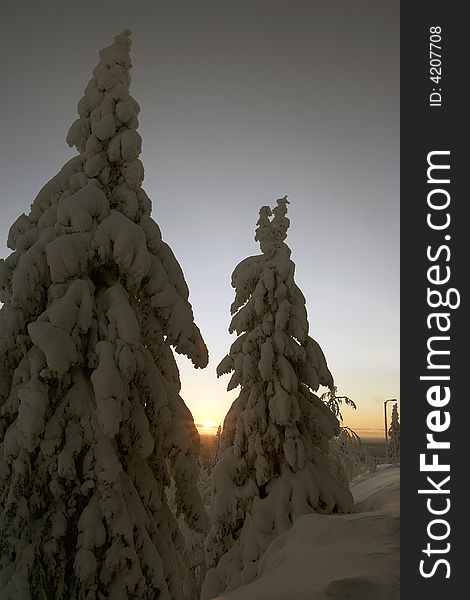 Enjoy winter wonderland in lapland Finland. Enjoy winter wonderland in lapland Finland