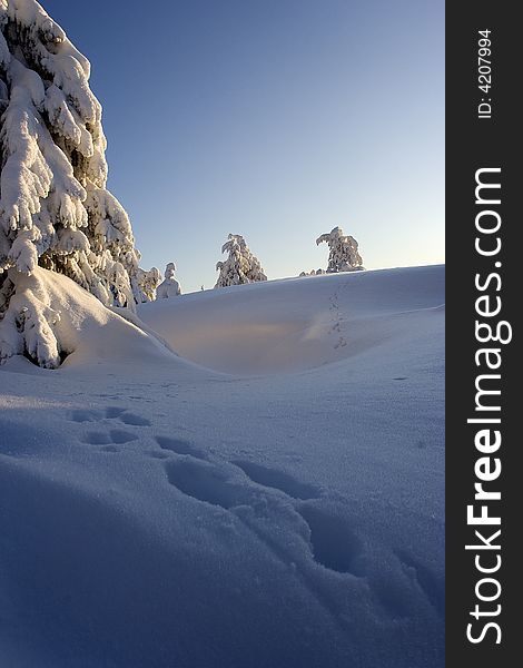 Lapland Winter Wonderland