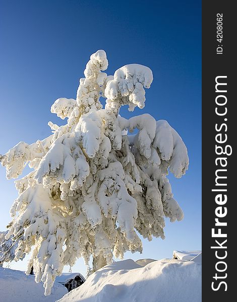 Enjoy winter wonderland in lapland Finland. Enjoy winter wonderland in lapland Finland