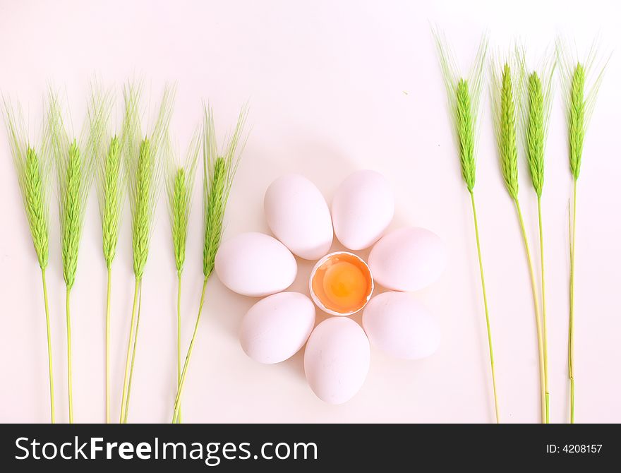 White eggs in the flower shape / spring time