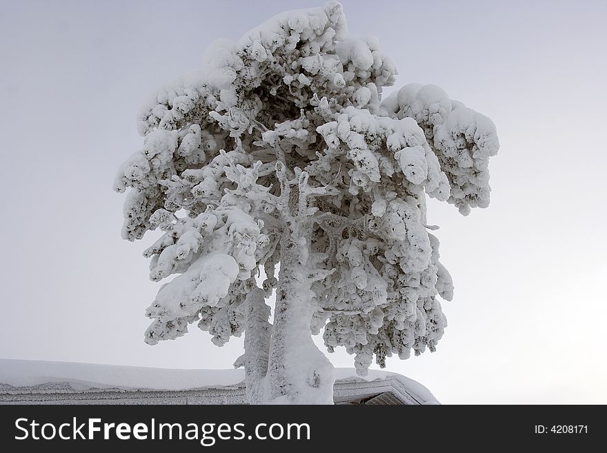 Enjoy winter wonderland in lapland finland. Enjoy winter wonderland in lapland finland