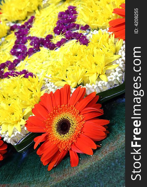Colorful flower arrangement with giant daisy. Colorful flower arrangement with giant daisy.