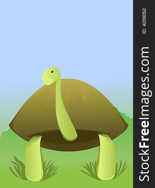 Vector illustration of a tortoise