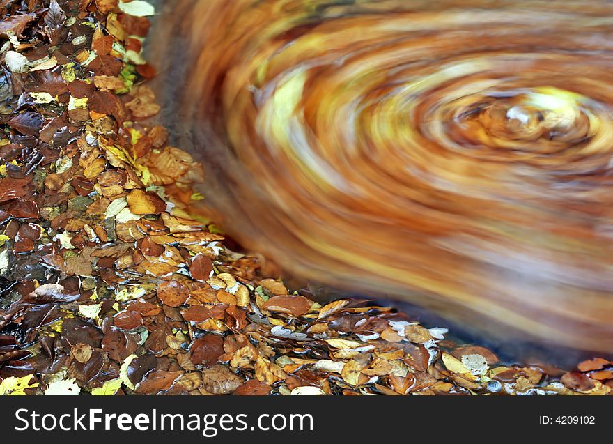 Autumnal leaves in a whirlpool