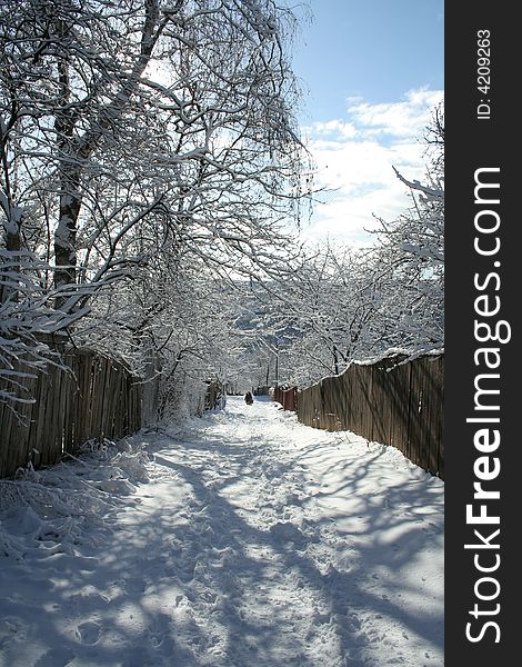 Frozen winter road in the village