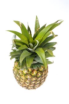 Pineapple From Above Stock Photography Pineapple From Above Stock Photography