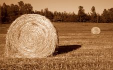 Bales Of Hay Royalty Free Stock Photography Bales Of Hay Royalty Free Stock Photography
