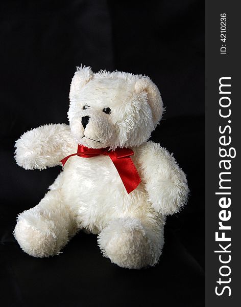 White Ted