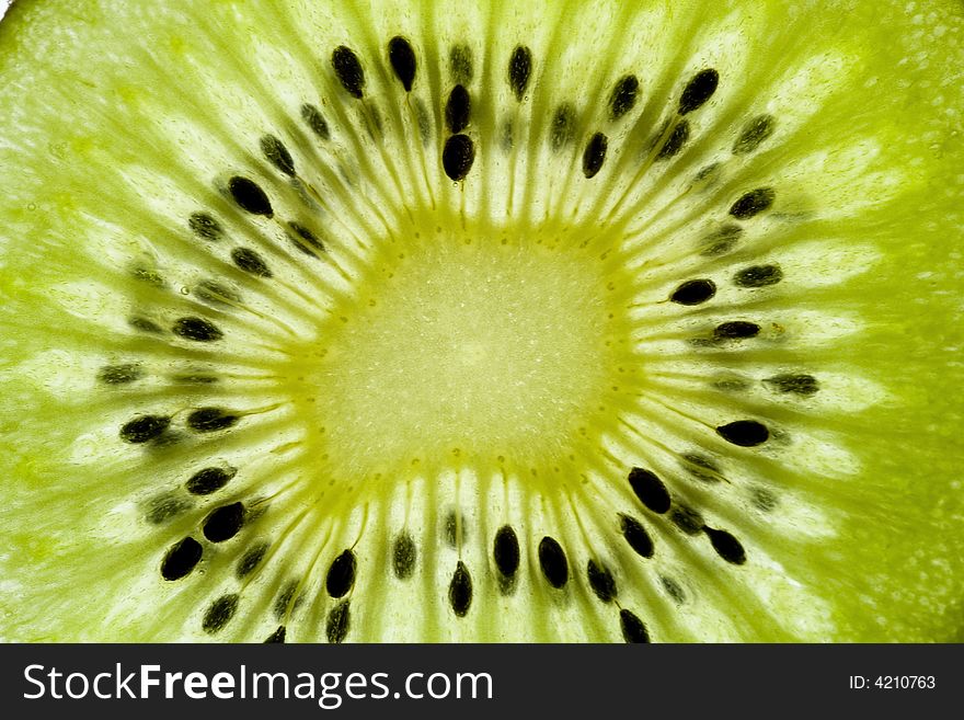 Kiwi with saturated colours in a white baground