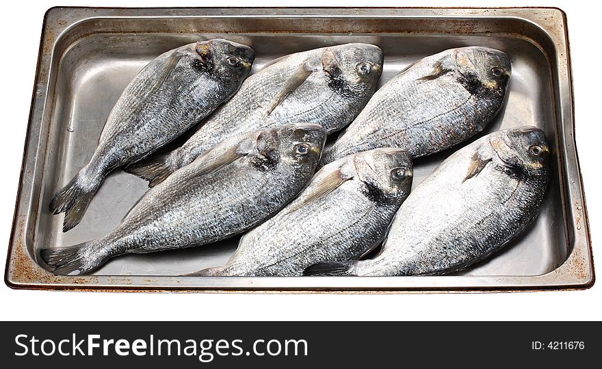 Dorada fish - fresh catch on the metal plate
