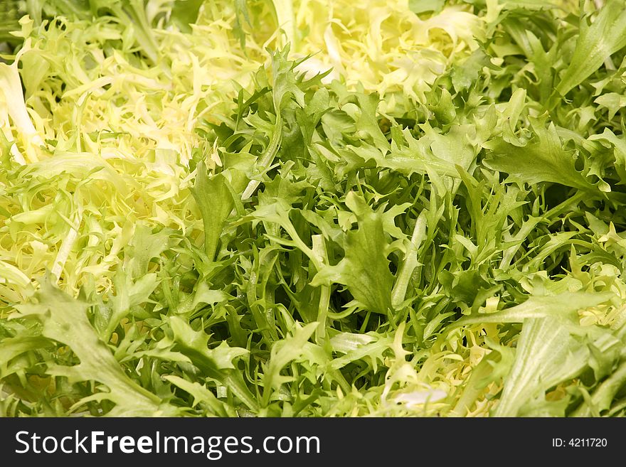 Lettuce leaves - vegetarian background - healthy and light food