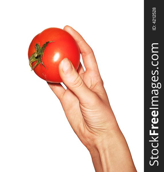 Human Hands With Vegetable