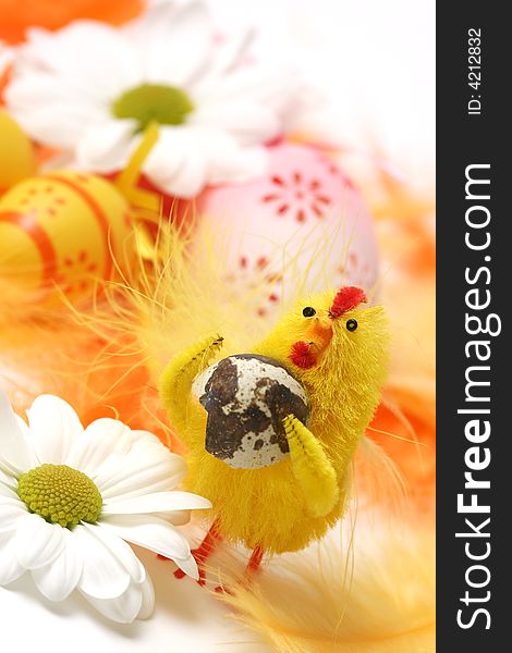 Easter motive.Chick and egg with white floewr on easter background.