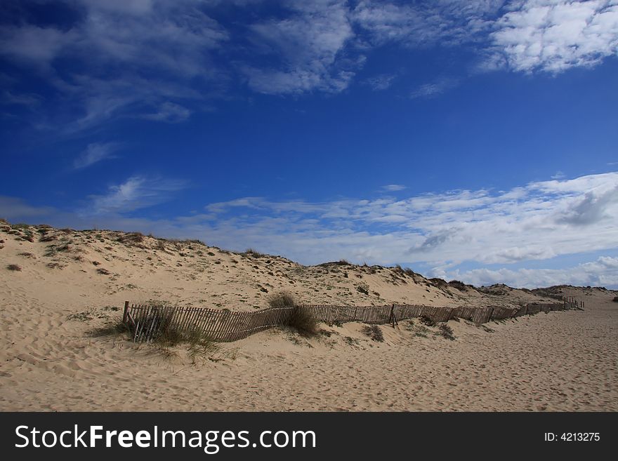 Dunes with a protection fence on a beach