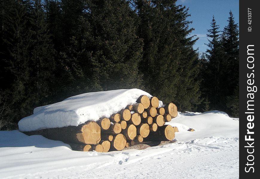 Snow covered stack of trunks.