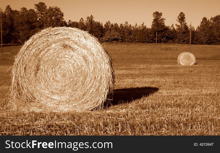 Two round Hay bales in farm field, sepia toned. Two round Hay bales in farm field, sepia toned