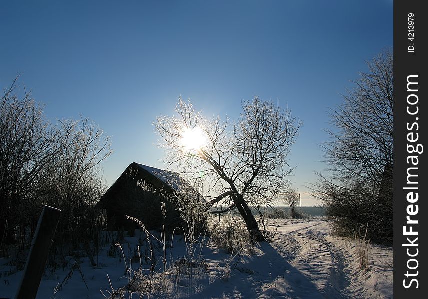 Majestic sunny winter in the village