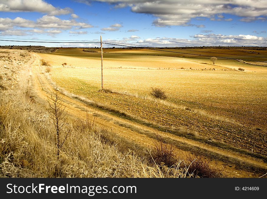 Fields and meadows in Spain. Fields and meadows in Spain
