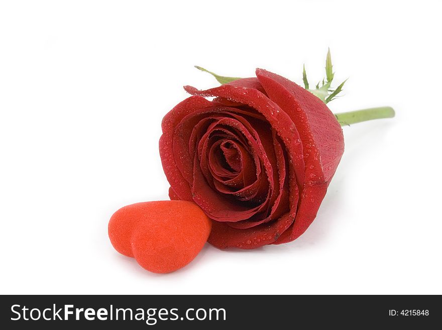 Red rose with heart. Saint Valentine day topic. Still life. Red rose with heart. Saint Valentine day topic. Still life