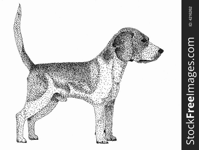 A beasle Terriers。Hand-painted pen painting