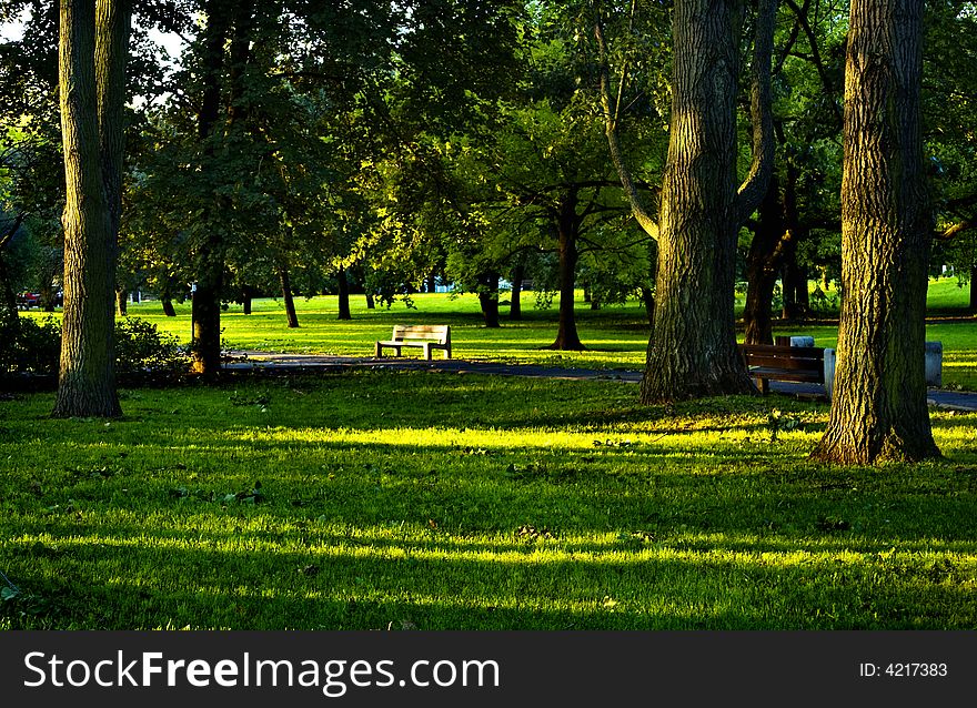 The chairã€meadows &  leaves shone in the sunlight. The chairã€meadows &  leaves shone in the sunlight