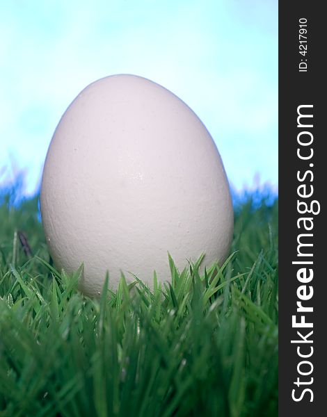 White egg in the grass against a blue background