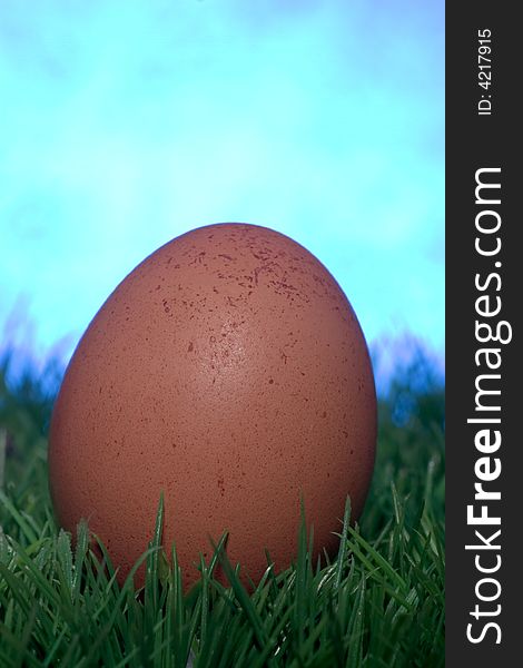 Brown egg in the grass against a blue background